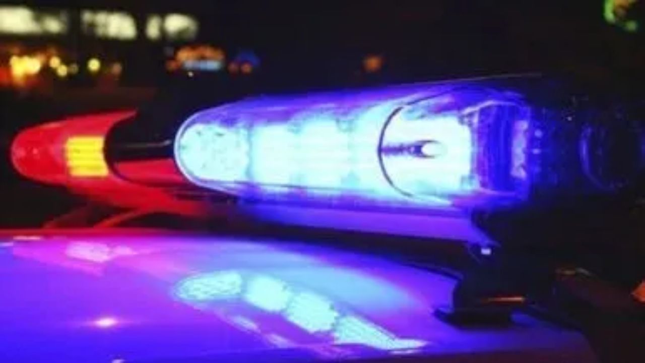 Wisconsin Woman Charged After Allegedly Living With Decomposed Infant in Cardboard Box
