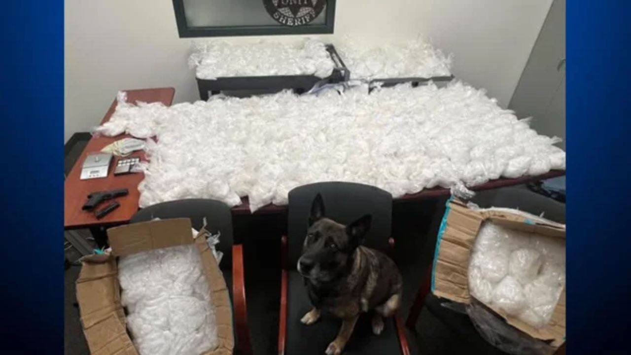 Bay Area Drug Bust Nets 500 Pounds of Methamphetamine; 2 Arrested in South San Jose