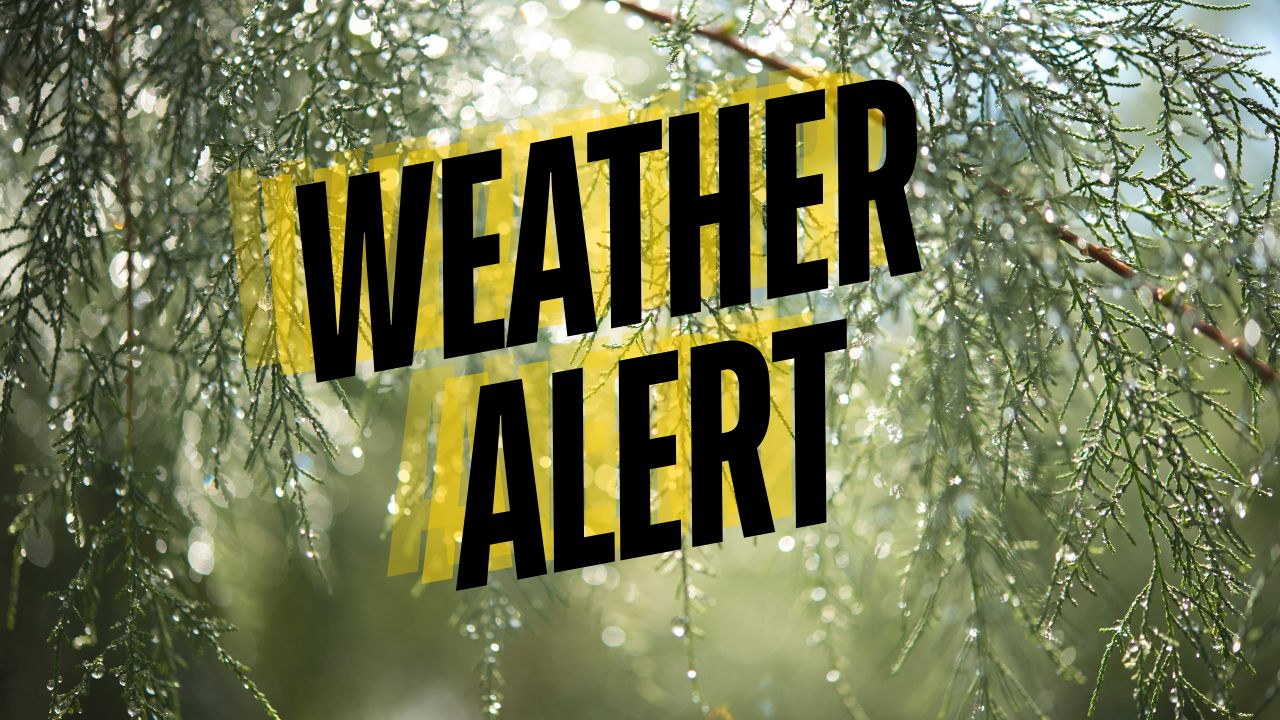California Weather Alert: Patchy Fog and Light Rain Impact Eureka Through Sunday