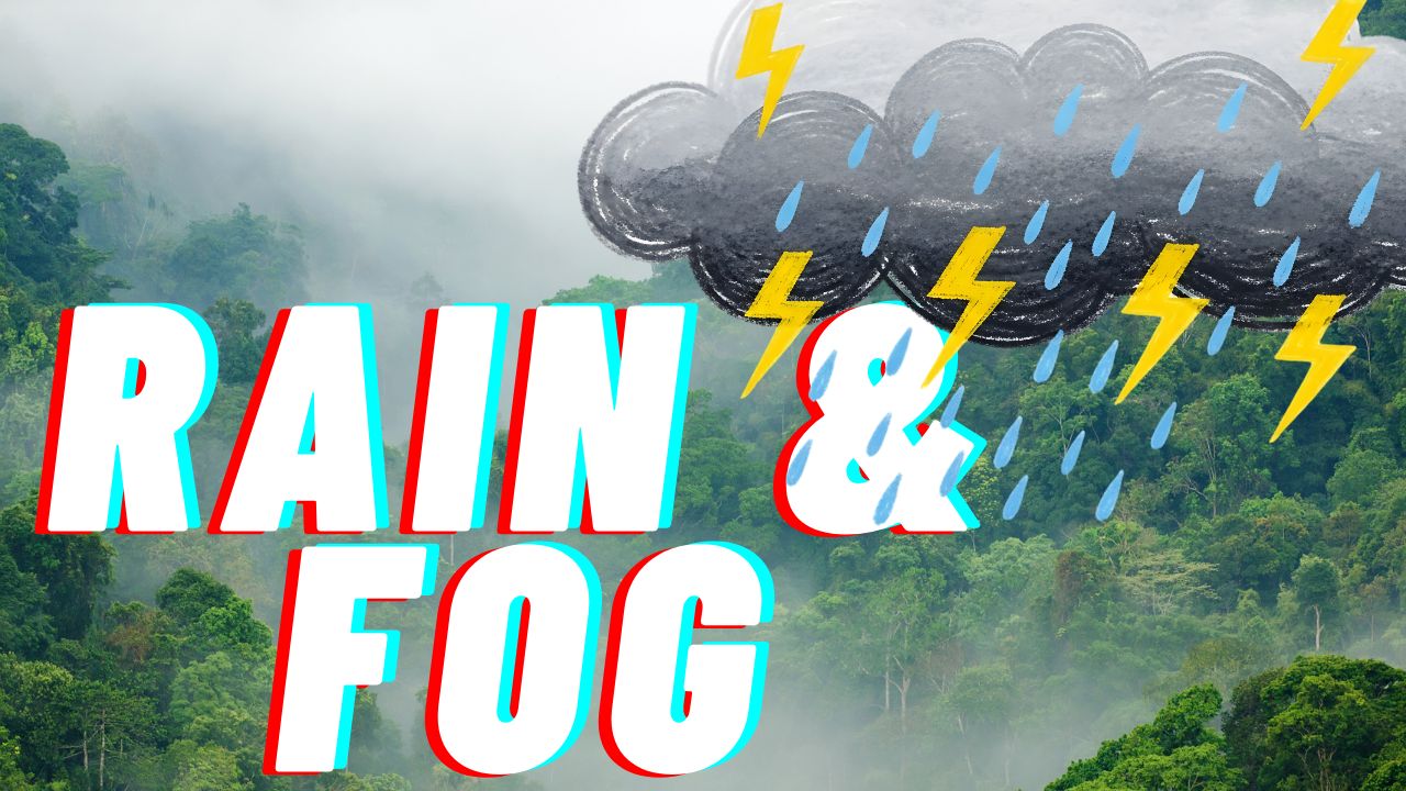 Charlotte Weather Alert: Heavy Rain and Fog Expected on I-85 and I-77 Through Tuesday Night