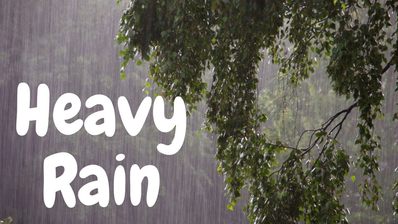 Cleveland Weather Alert: Showers Expected by Sunday Night, Heavy Rain Likely on Monday