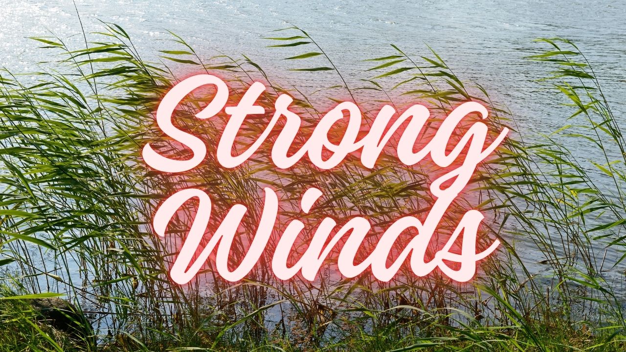 Coastal North Carolina Weather Alert: Showers and Thunderstorms Expected Monday with Strong Winds into Early October