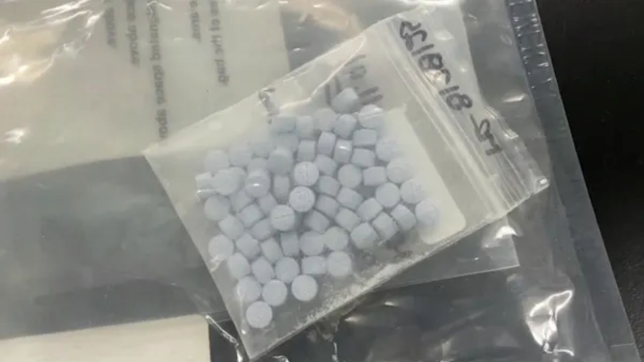 DEA: Extremely Dangerous Nitazine Pills Found in Westbury Home — a First for Long Island