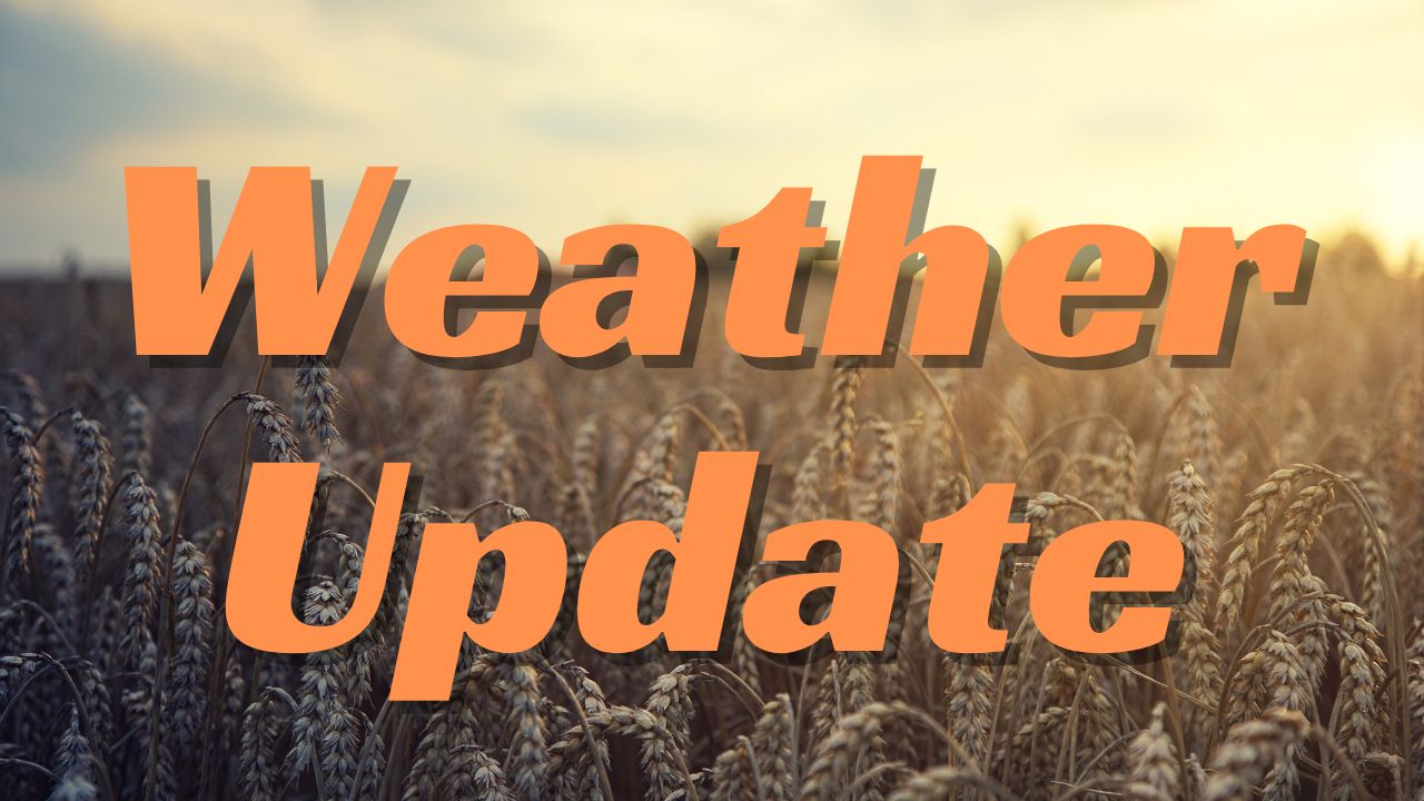 Florida Fall Weather: Thunderstorms Friday Give Way to Sunny, Dry Weekend in Tallahassee