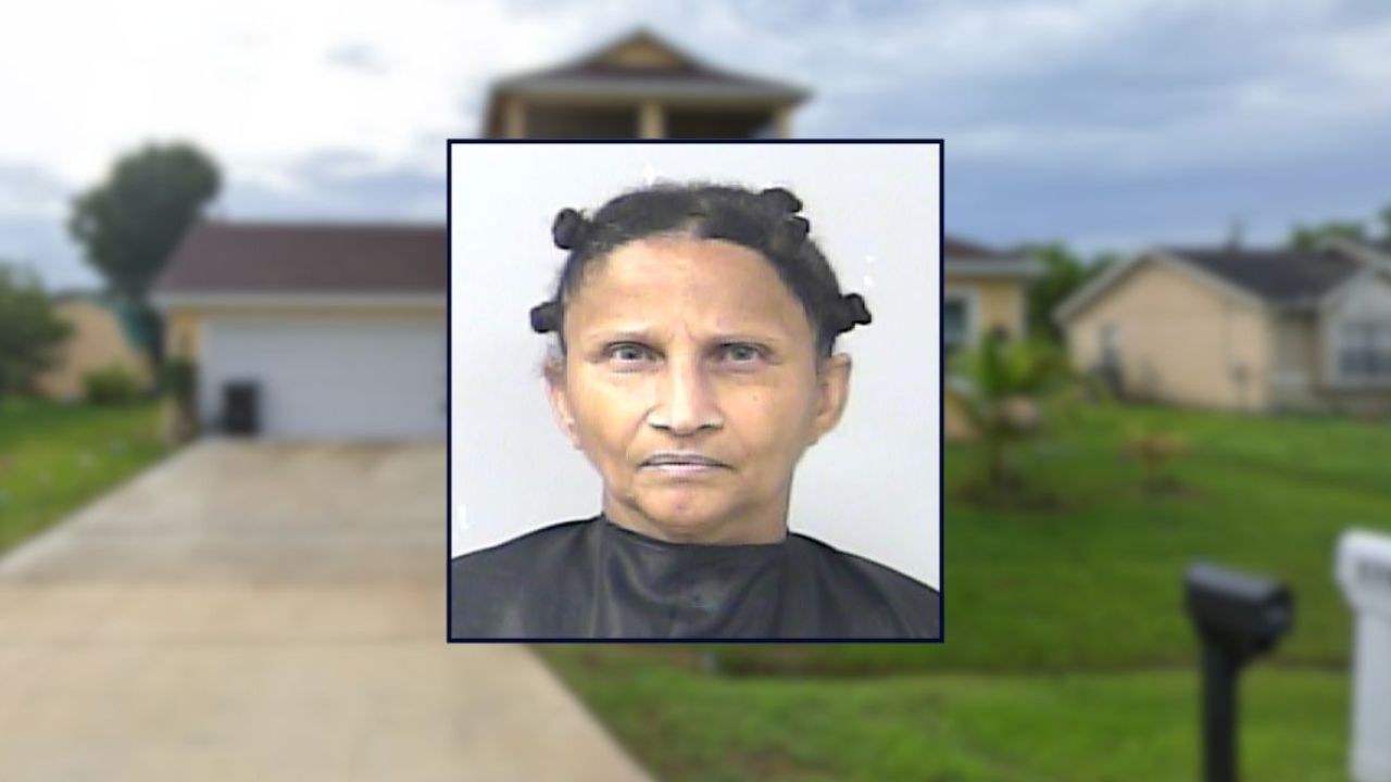 Florida Woman Threatens Cable Worker With Axe, Gun Over Fiber Installation