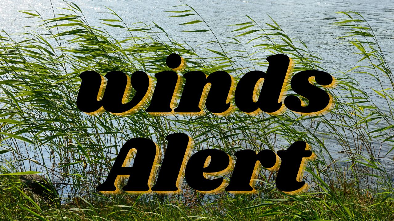 Georgia Weather Alert: Atlanta Drivers Face Wind Gusts Up to 20 MPH on I-75 and I-285 Tuesday