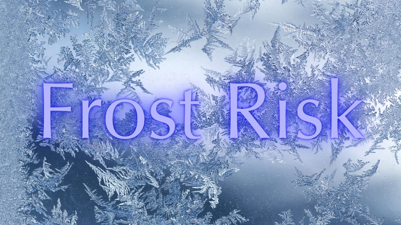 Maine Weather Alert: Sunshine to Freeze – Frost Risk Hits by Saturday Night