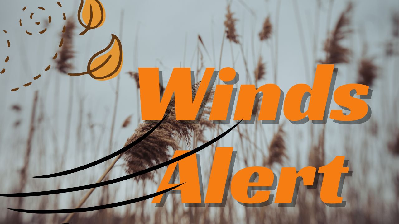 Maryland Weather Alert: Baltimore Braces for 20 MPH Wind Gusts Tuesday Night