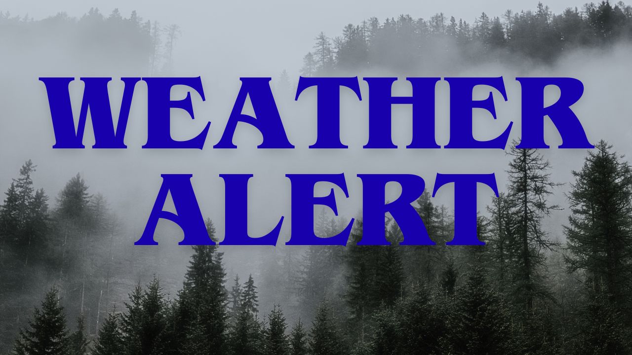Morehead City Weather: Morning Fog and Clear Skies Set Stage for Sunny Week