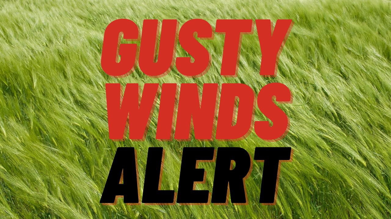 North Carolina Weather Alert: Gusty Winds Impacting Charlotte Drivers on I-77 Through Tuesday