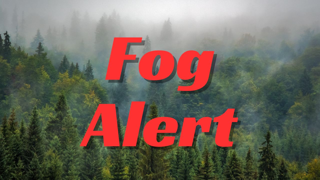 North Dakota Weather Alert: Dense Fog Reduces Visibility Across Western and South Central Counties Monday Morning
