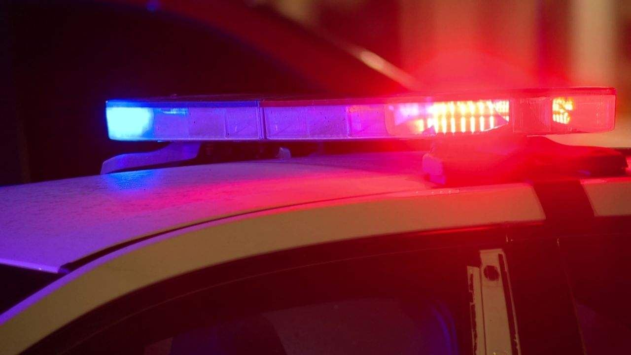 Officers Shoot Aggressive Dog While Reaching Stabbing Victim in Carmel