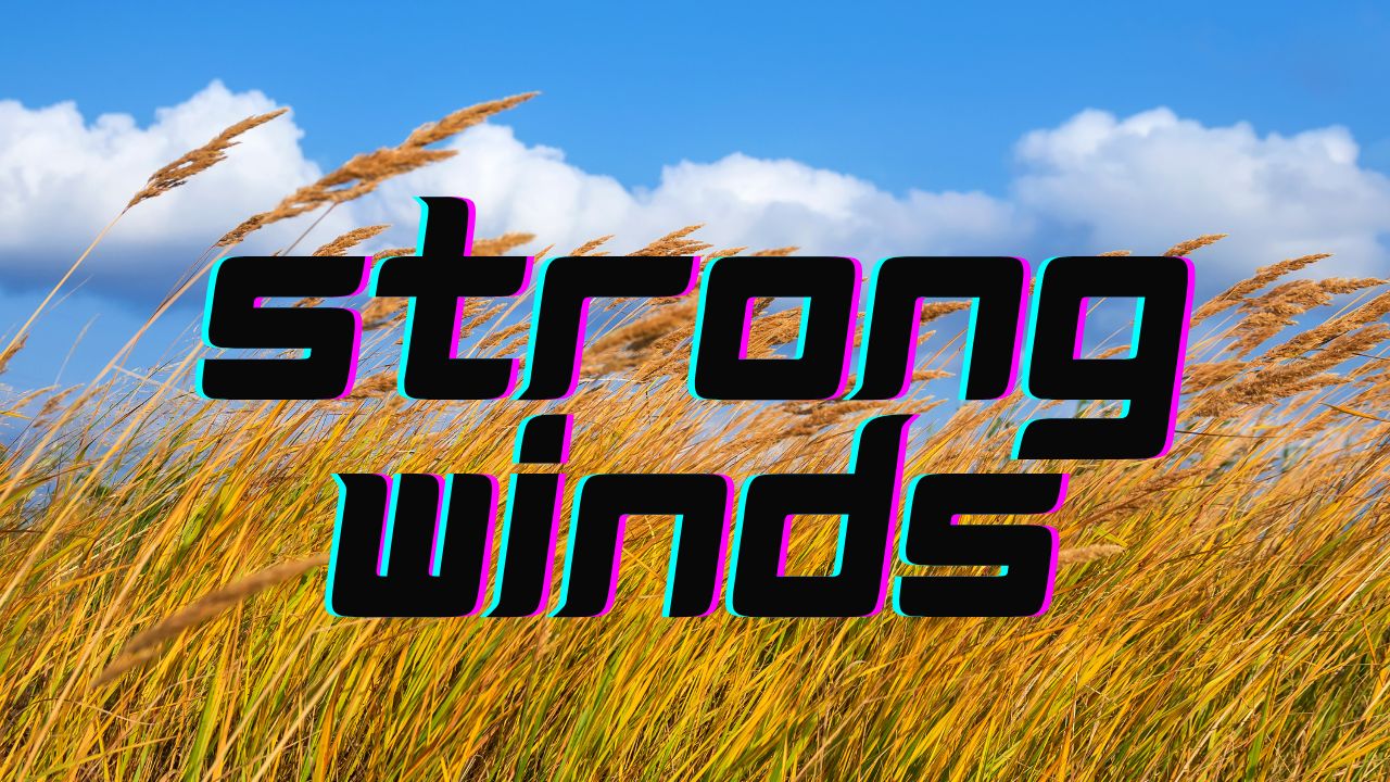 Pennsylvania Weather Alert: Thunderstorms and Strong Wind Gusts Threaten Pittsburgh and Western Counties Thursday Afternoon