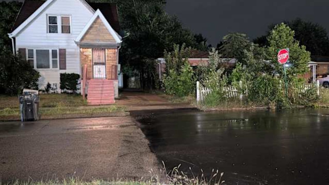 Police Investigate Discovery of Skeletal Remains in Detroit Backyard