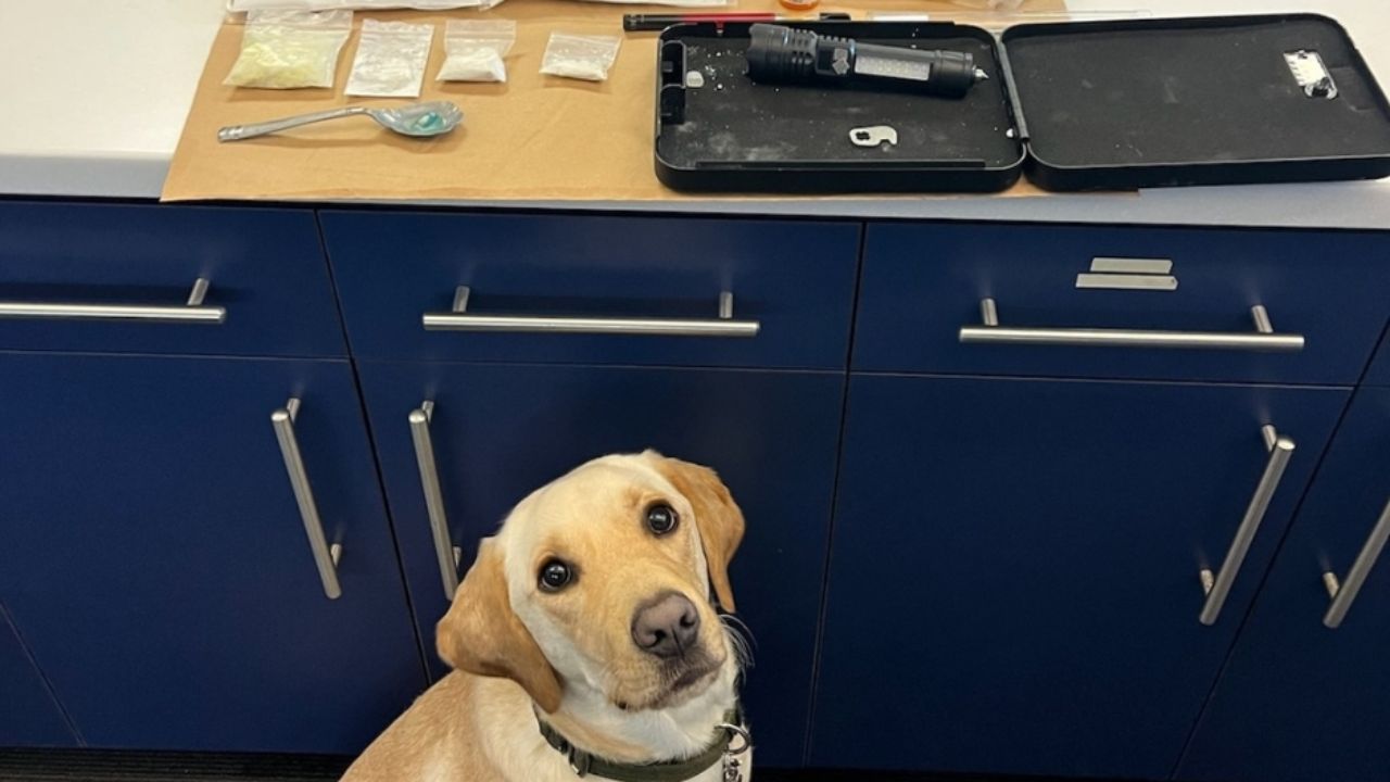 Sarasota Man Arrested for Drug Possession and Fentanyl Trafficking After Traffic Stop