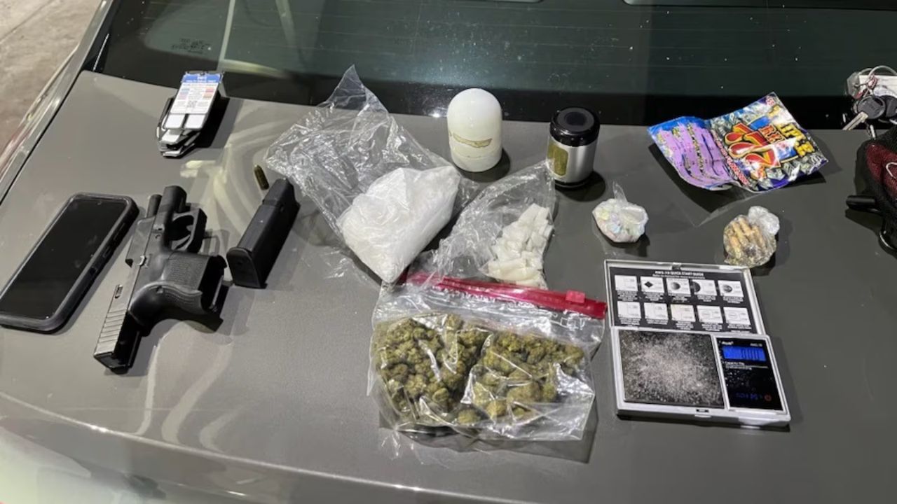Suspected Drug Trafficker Arrested During Nokomis Traffic Stop, Deputies Seize Guns and Drugs