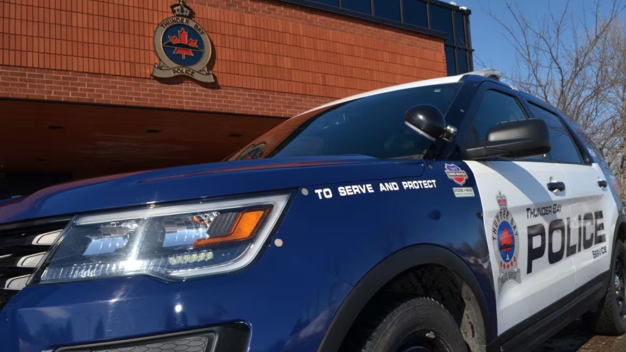 Thunder Bay Police Seize $130k in Drugs, Four Arrested in City-Wide Raids
