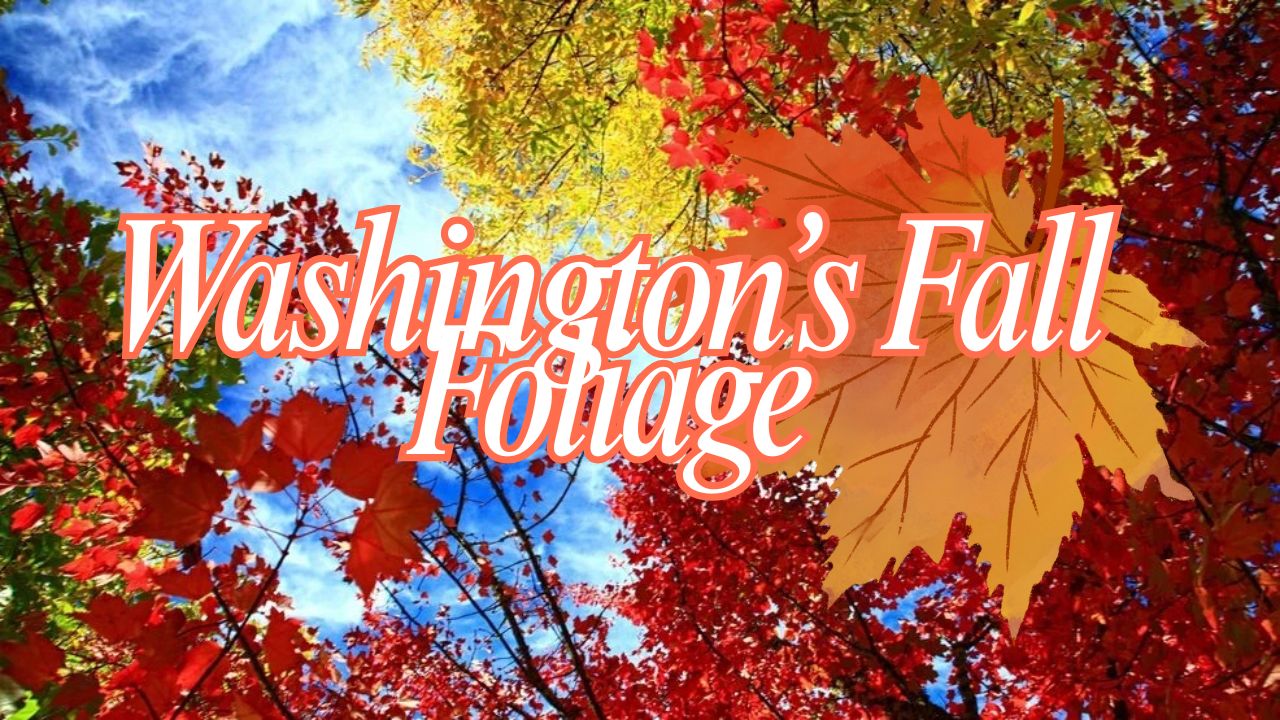Washington’s Fall Foliage Could Arrive Early This Year