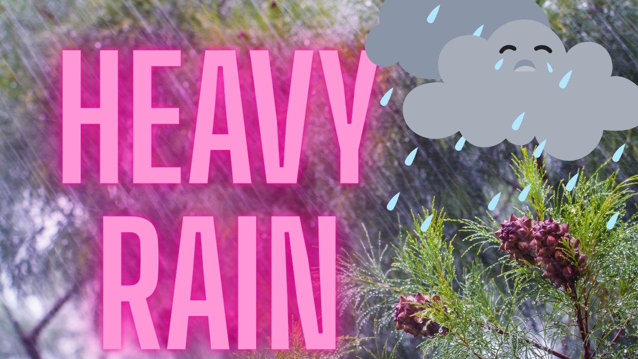 Wilmington, DE Weather Alert: Severe Thunderstorms and Heavy Rain Expected Through Tonight
