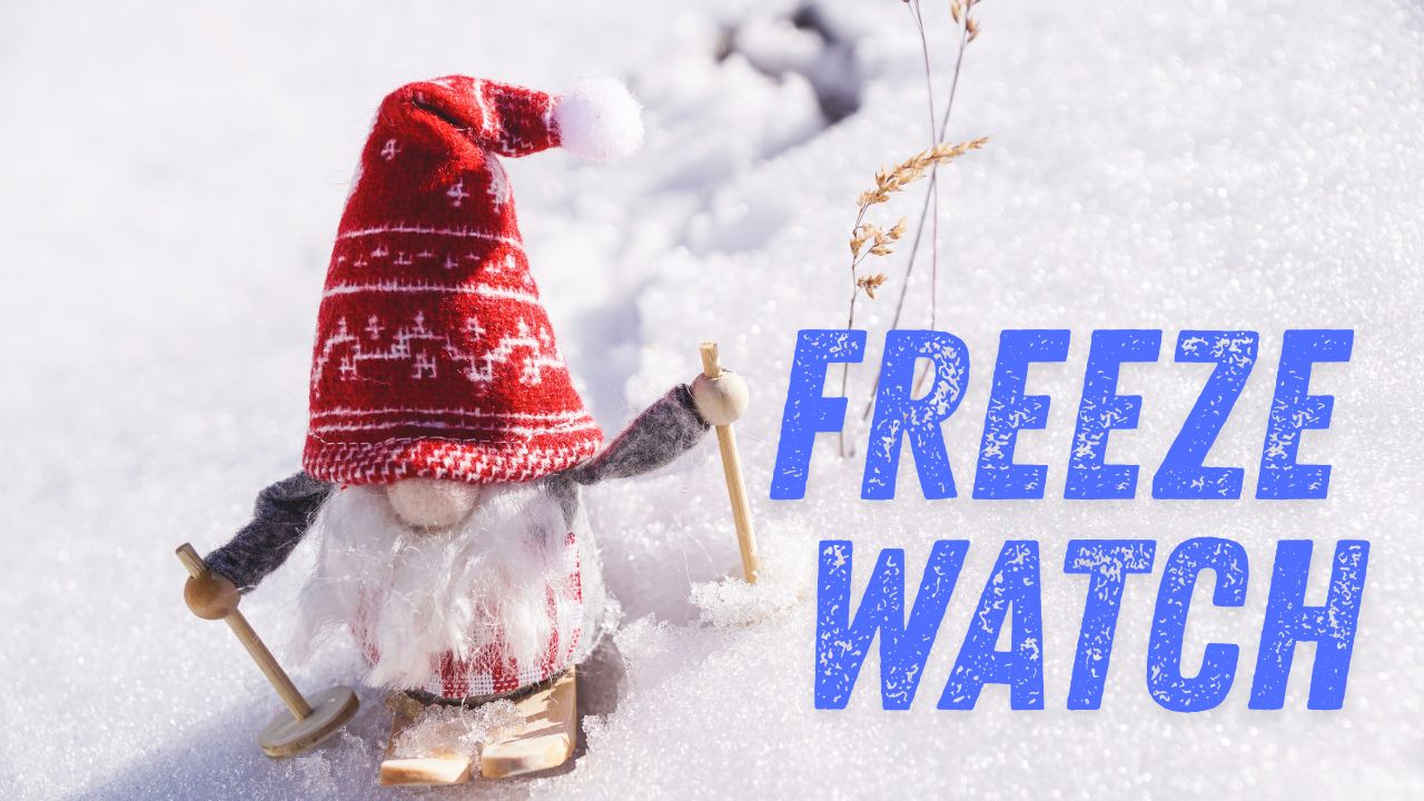 Wyoming Freeze Watch Issued: Sub-Freezing Temperatures Could Drop to 30° Tonight