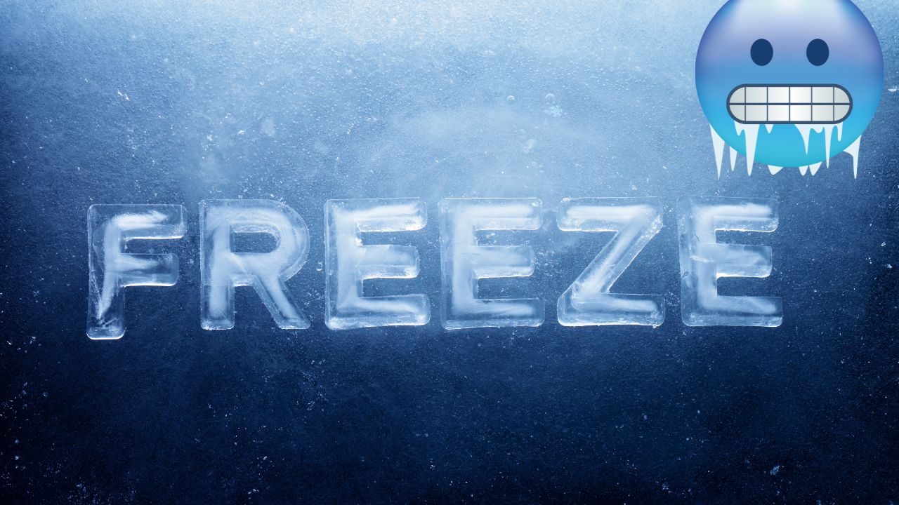 Alamosa, CO Braces for Early-Season Freeze: Temperatures to Drop to Mid-20s Sunday Morning