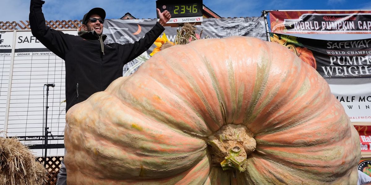 California Grower Wins 2025 Safeway World Championship Pumpkin Weigh-Off