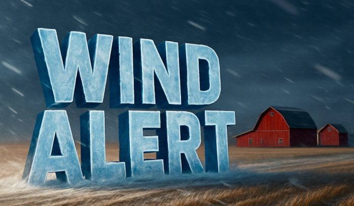 Champaign, IL Weather: Windy Tuesday Gives Way to Clear Skies and Frost Risk Midweek
