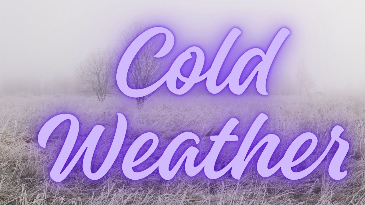 Cold Air Hits Fort Wayne: Low 30s Expected Overnight as Frost Threatens Wednesday and Thursday