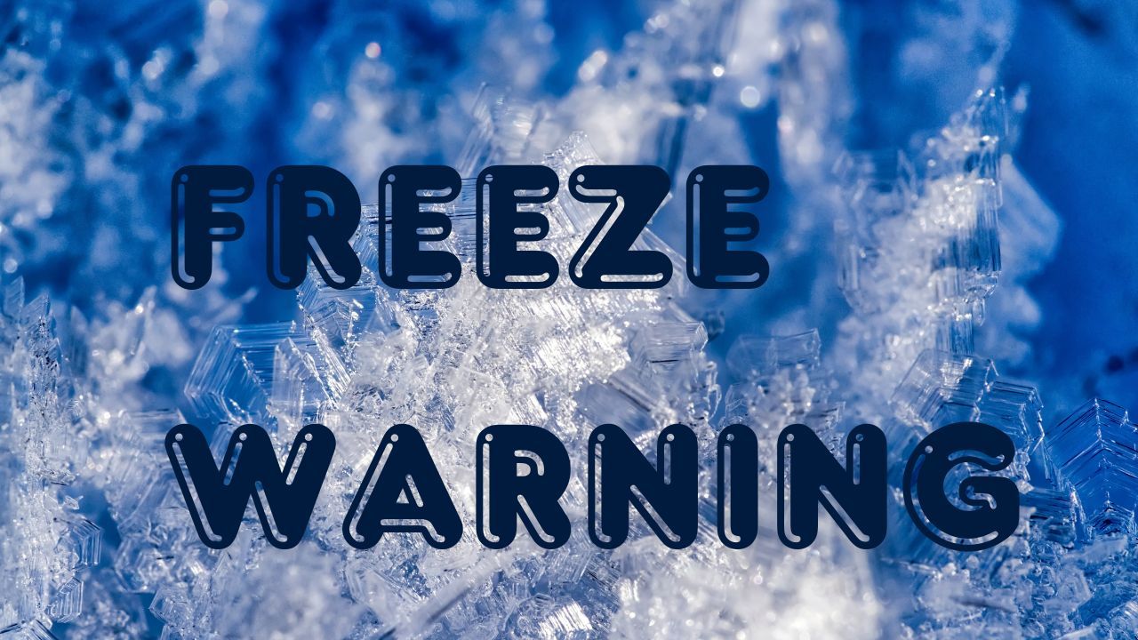 Freeze Warnings Issued for New York and Connecticut as Temperatures Plunge to Upper 20s
