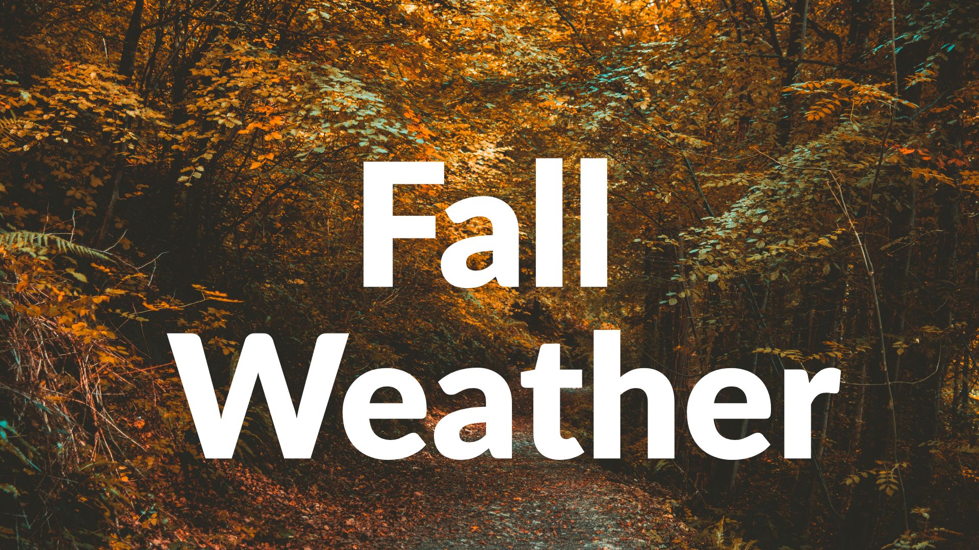 Green Bay, WI Fall Heatwave: Sunshine and 80s Temperatures This Week