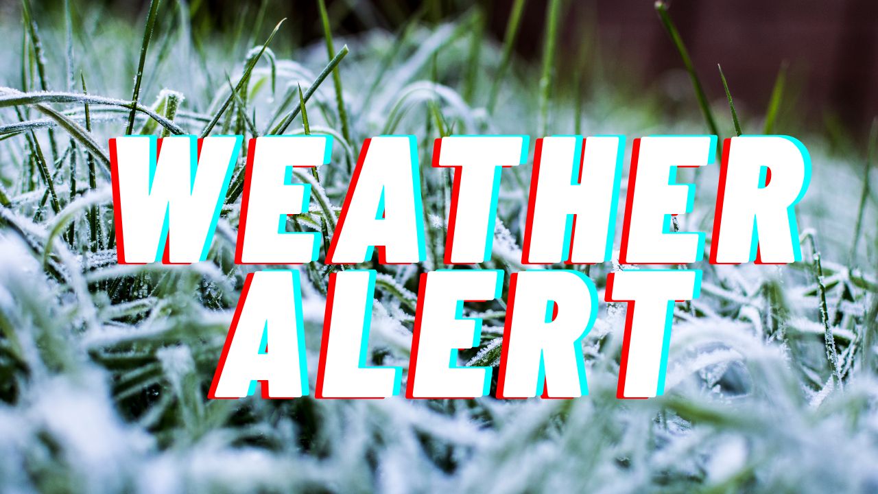 Massachusetts Fall Weather Alert: First October Frost Expected by Friday Morning