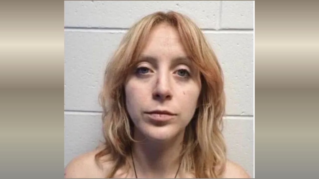 Michigan Nanny Accused of Stabbing 83-Year-Old Grandfather to Death While Caring for Toddler