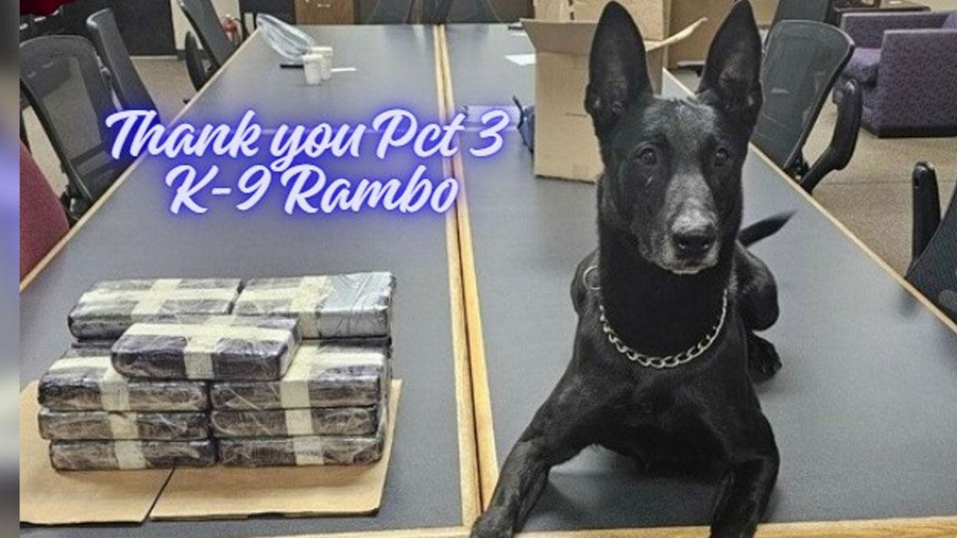 Montgomery County Deputies Seize 33 Pounds of Cocaine in Traffic Stop