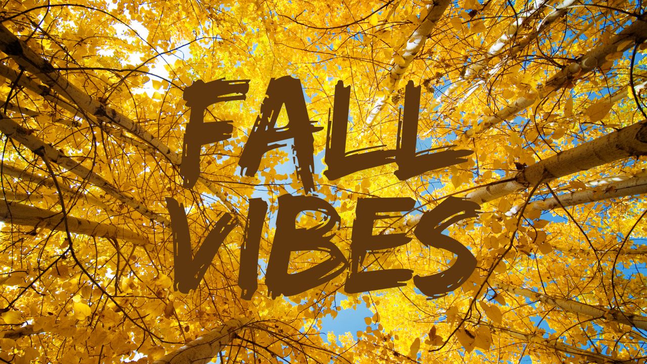 North Carolina Weather Update: Showers Wednesday Followed by Sunny, Breezy Fall Stretch