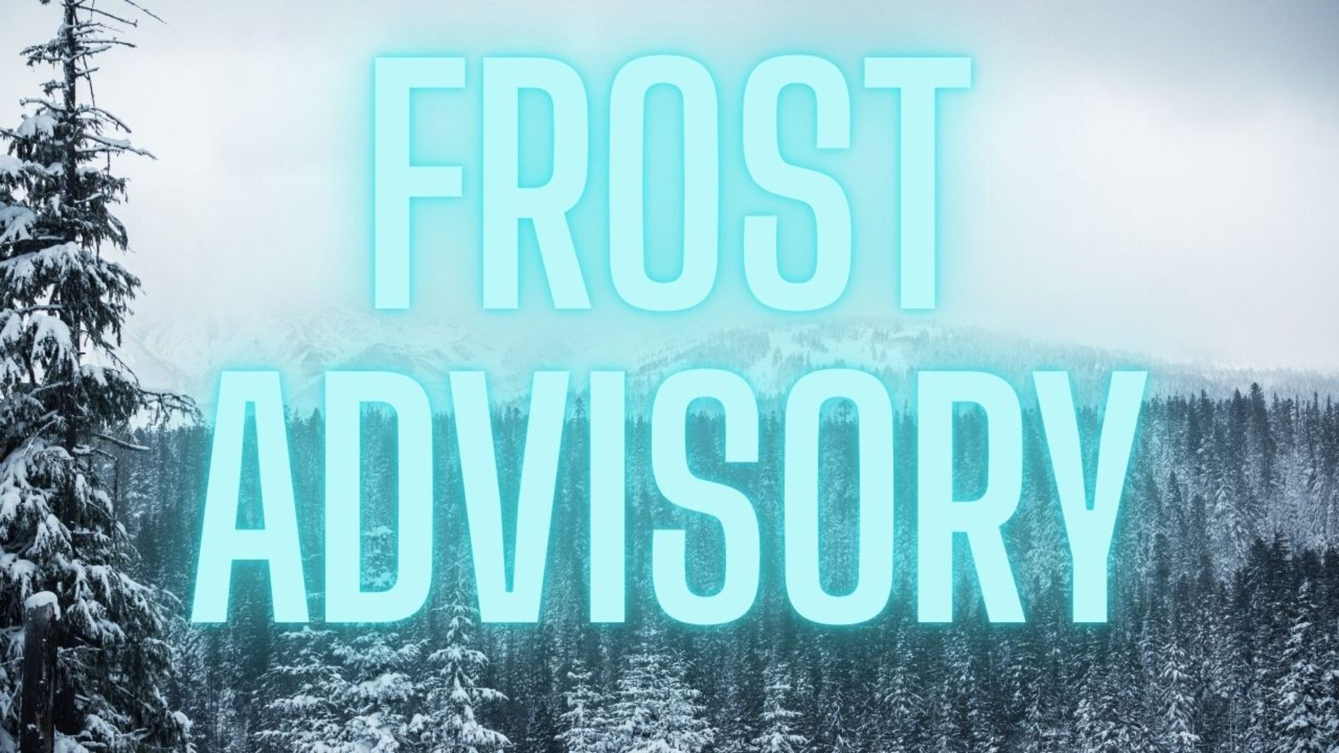 Northeast Pennsylvania Faces Frost Advisory Tonight; Weekend Temperatures to Rise