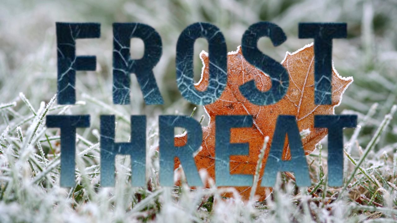 Roanoke Area Faces Frost Risk Tonight as Temperatures Drop Near Freezing