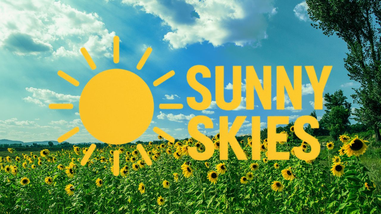 Tampa Bay Weather Update: Heatwave Brings Highs in the 90s Through Friday