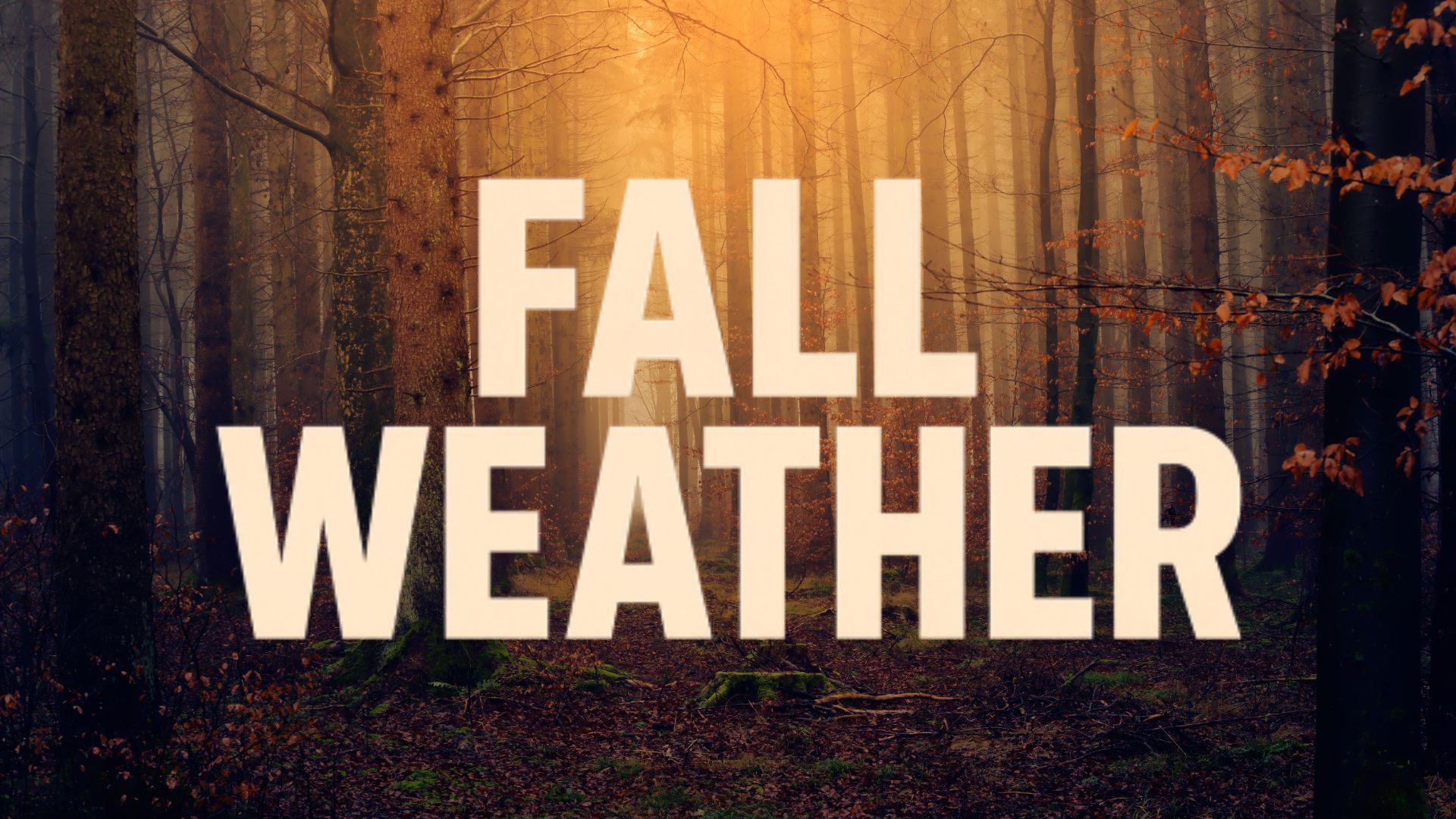 Tennessee Weather Alert: Warm Fall Weekend Expected in Nashville Through Columbus Day