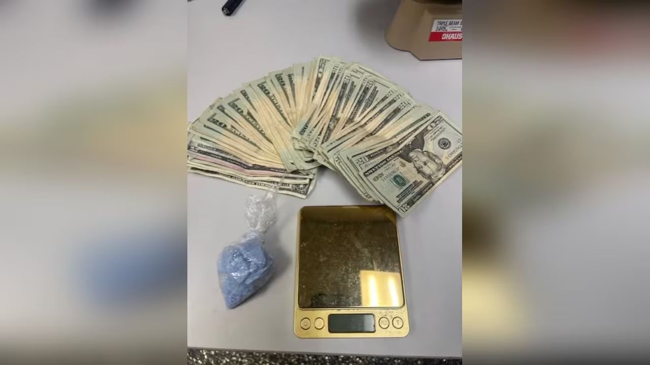 Traffic Stop Leads to Major Drug Bust in Caldwell County