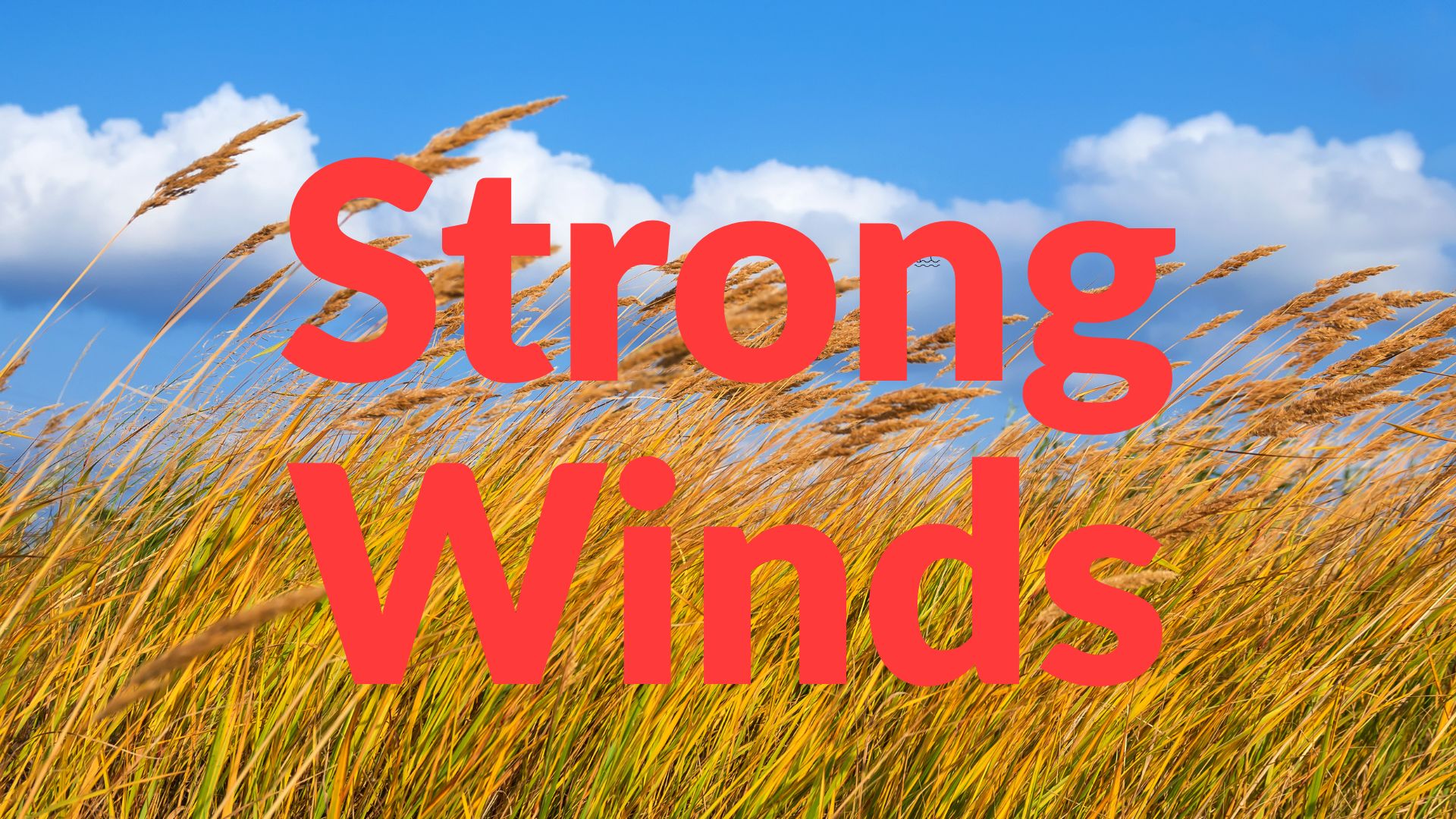 Virginia Coast Braces for Coastal Flooding and Strong Winds Through Sunday