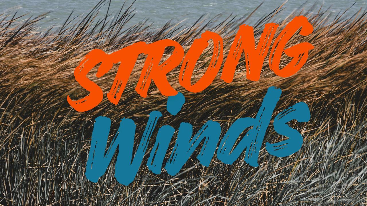 West Texas and Southeast New Mexico Under High Wind Warning and Freeze Watch Through Wednesday