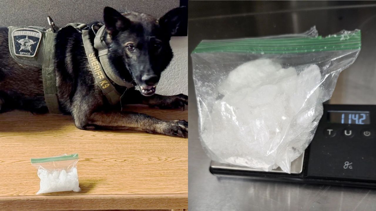 Woman Arrested After Traffic Stop Reveals Over 100 Grams of Methamphetamine in Texas