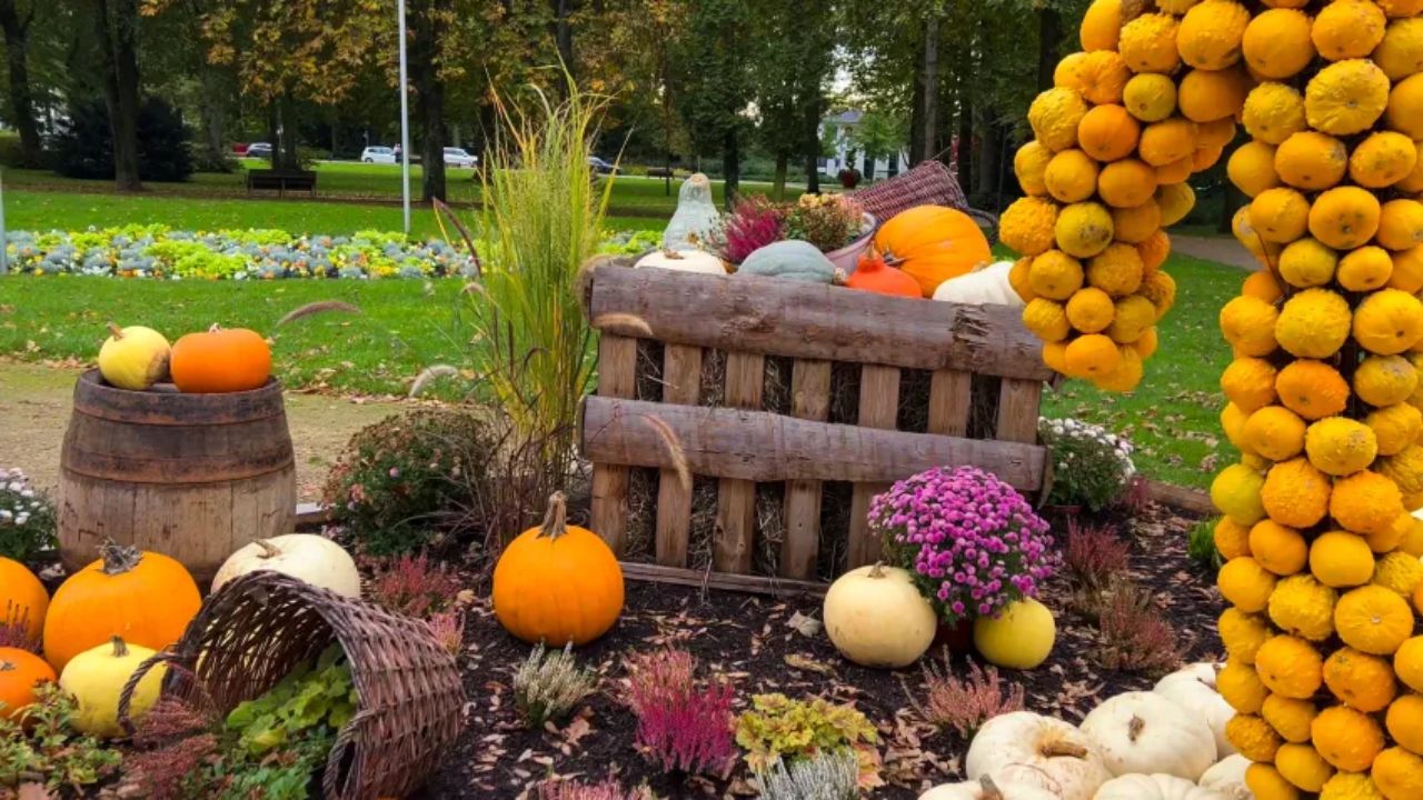 Your Ultimate Guide to Fall Festivals Across North Texas This October 2025