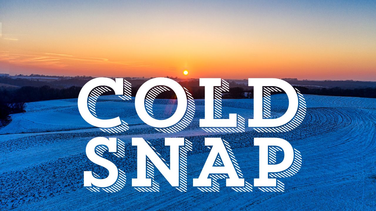 Columbia, SC Weather Forecast Warm Start Ends With Thanksgiving Chill as Coldest Air of the Season Arrives