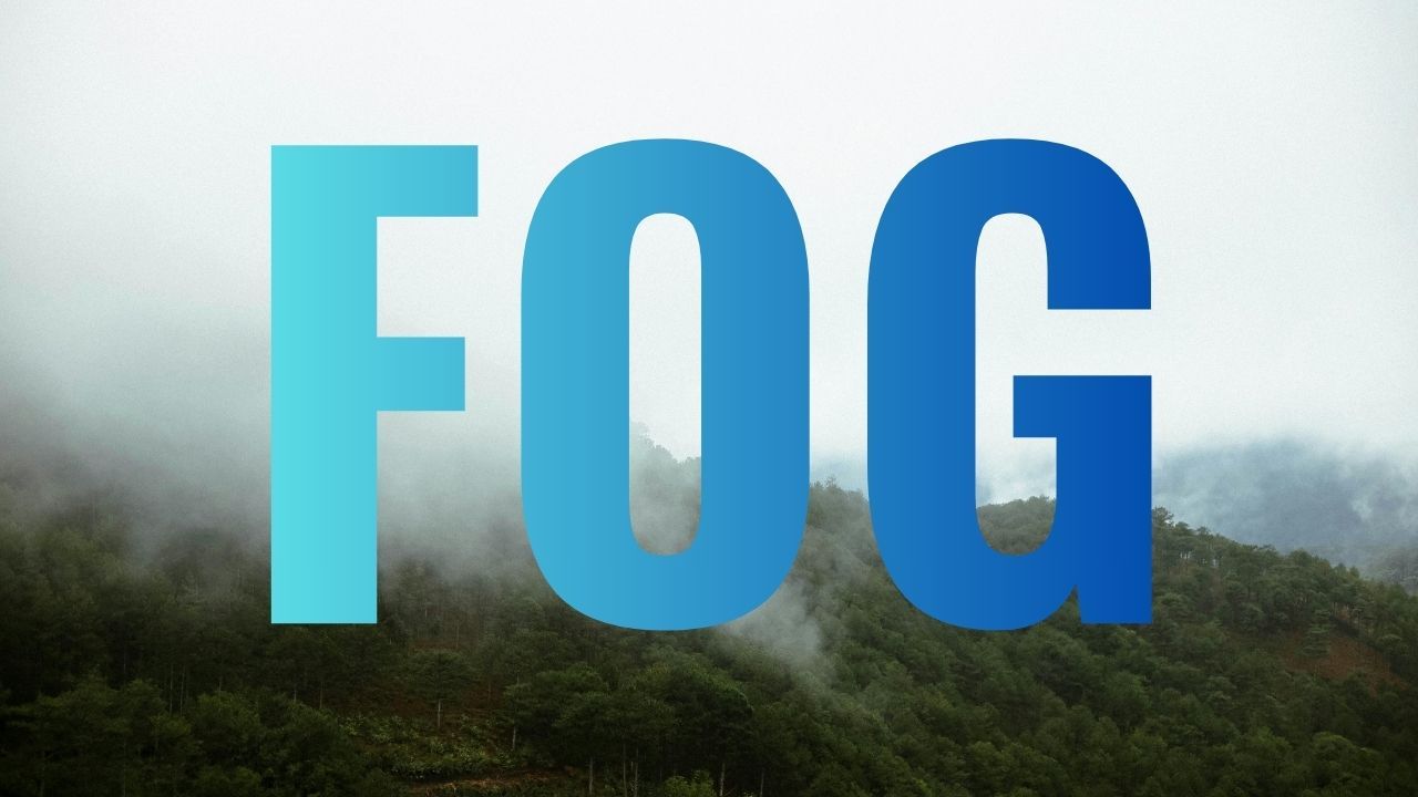 Dense Fog Advisory Issued Across Kentucky and Surrounding States, Drivers Urged to Use Caution