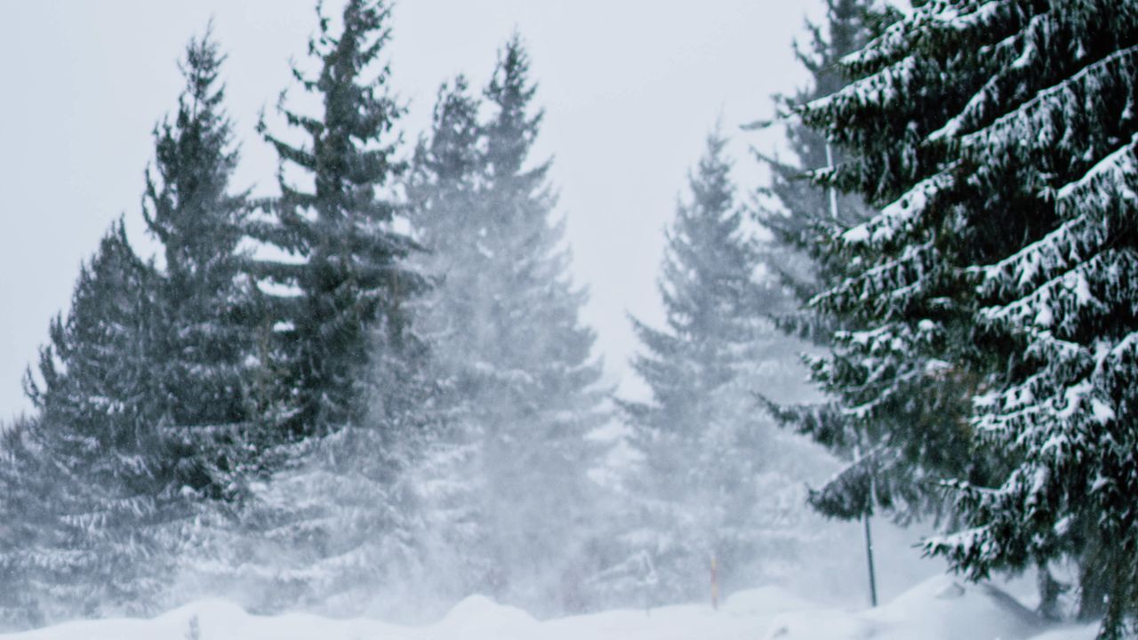 Iowa Weather: Thanksgiving Travel Safety Tips for Winter Drivers in Cedar Rapids and Ames