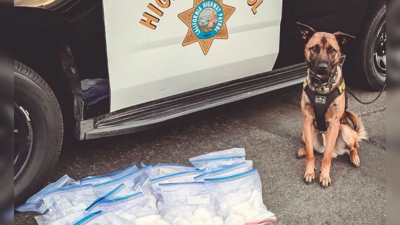 K9’s First Day on Duty Leads to $272,000 Meth Bust During Traffic Stop in Merced County