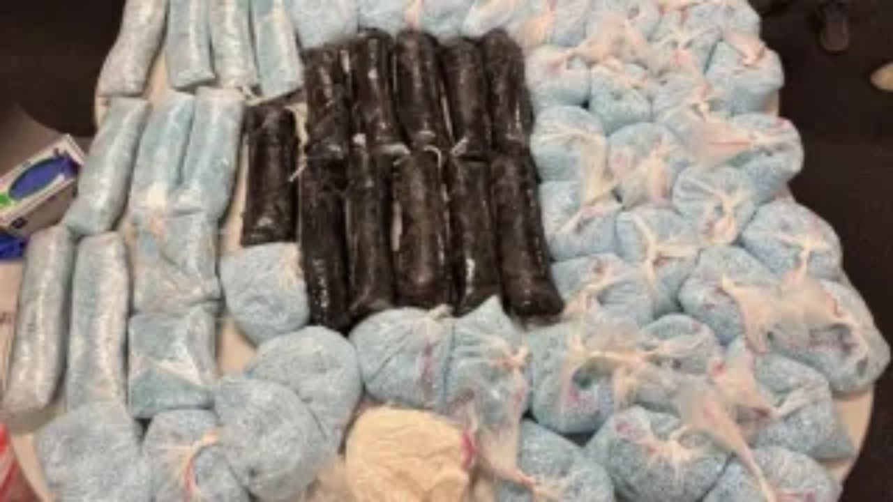 Los Angeles Authorities Seize 628,000 Carfentanil Pills in Major DEA Operation Targeting Deadly Drug Trade