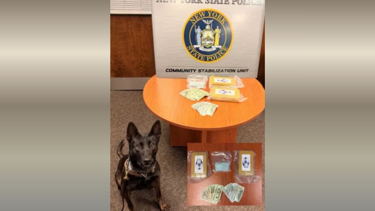 Major Drug Bust on Taconic State Parkway: Poughkeepsie Man Arrested with Over 2 Kilograms of Cocaine and Fentanyl
