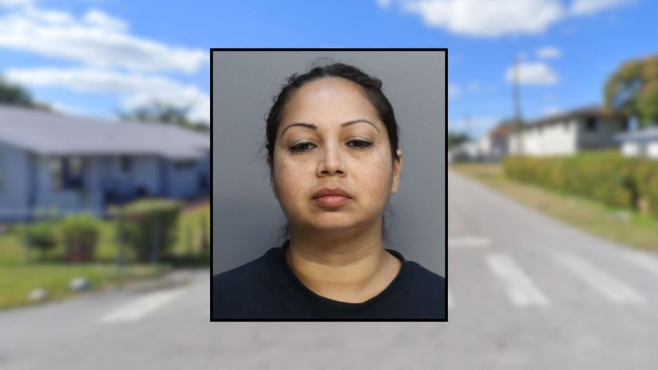 Mother Accused of Stabbing Son With Fork During Dispute Over Phone Bill and School Tardiness